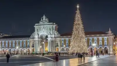 Record-Breaking Christmas Tree