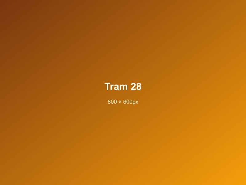 Tram 28 Ride