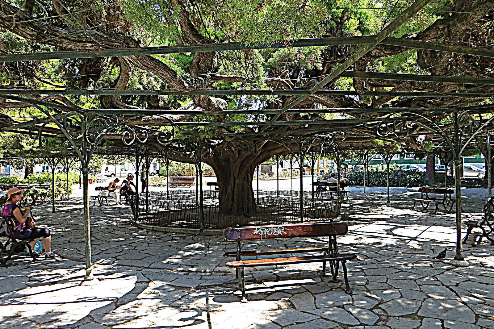 The garden in neighbouring Príncipe Real.
